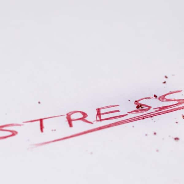 Stressed out? Unhappy? Anxious? Overwhelmed? Burnt out? Having a breakdown? How to CALM DOWN within 2 minutes or less | What to do when you’re stressed | How to cope with stress | De-stress #StressedOut #CalmDown #BreathingExercises #BurntOut #Breakdown #Meltdown #CopingWithStress #SelfCare #Anxiety #Overwhelmed #Destress